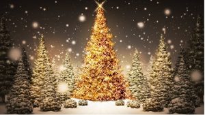 fantastic-beautiful-christmas-tree