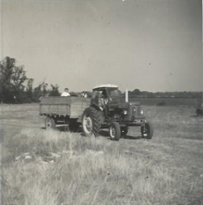 old tractor 1
