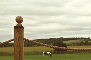 20160709_225830